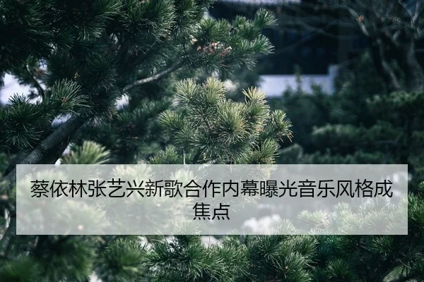 cai-yi-lin-zhang-yi-xing-xin-ge-he-zuo-nei-mu-bao-guang-yin-yue-feng-ge-cheng-jiao-dian-2-735.jpg