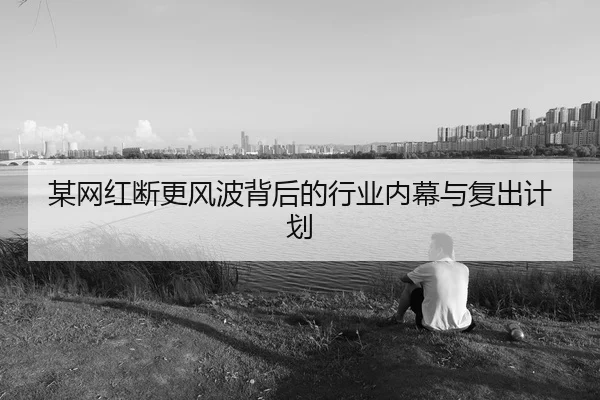 某网红断更风波背后的行业内幕与复出计划